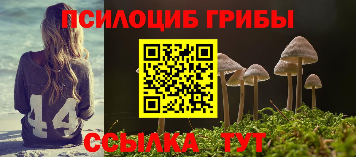 Псилоцибиновые грибы Cubensis Минусинск