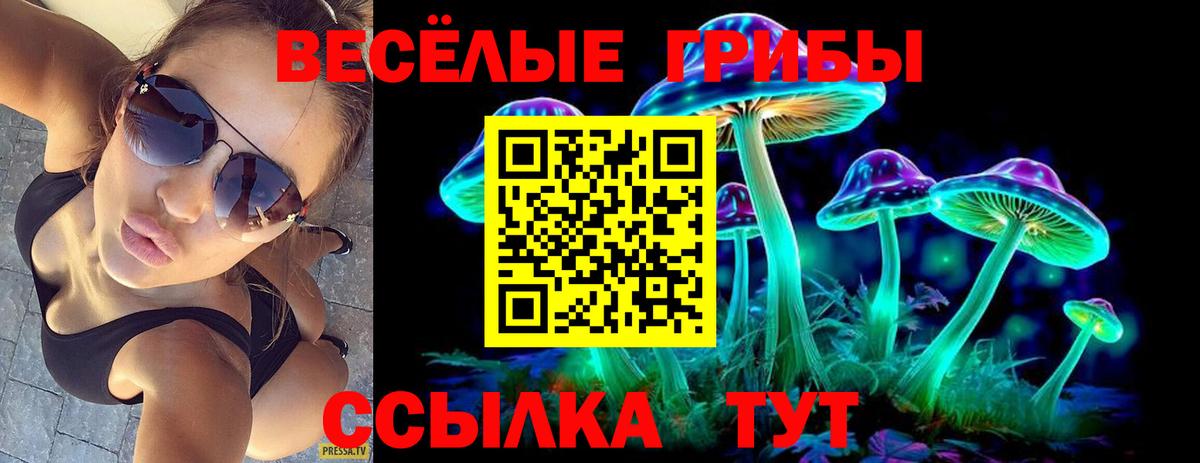 Псилоцибиновые грибы Psilocybine cubensis  Галлюциногенные грибы Psilocybe  Вход с VPN  купить наркотики цена  Минусинск 